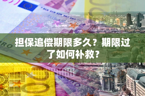 济南担保追偿期限多久？期限过了如何补救？